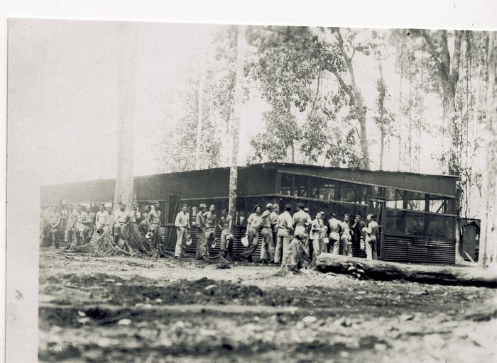 Two dozen or more men line the front of a long, open-sided building with corrugated-iron walls, many of them holding mess kits and cups, in a stand of tall slender trees. The ground in front is churned mud with a fallen log lying across it.