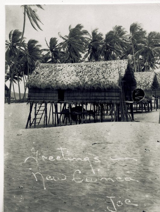 A New Guinean village house raised on a forest of rough posts, its roof deep in sago thatch, a notched log ladder leaning up to the doorway and more houses of the same build running away behind it under a stand of coconut palms. Across the sand in the foreground, in thin white letters, 