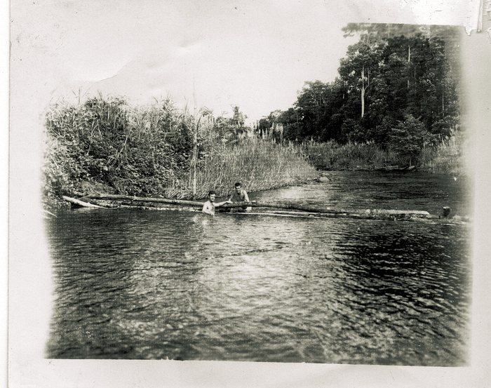 Two men stripped to the waist stand chest-deep in a jungle river, hands resting on a long felled trunk that lies out across the water from the bank beyond them, where tall grass and scrub give way to rainforest.