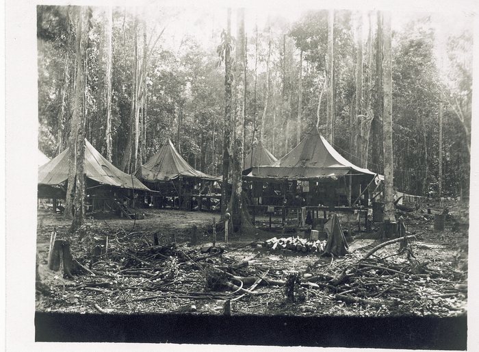 A row of large pyramidal tents pitched on raised timber floors among tall rainforest trees, with a laundry line strung between the trunks, oil drums standing at the right, and cut branches and split logs scattered across the churned ground.