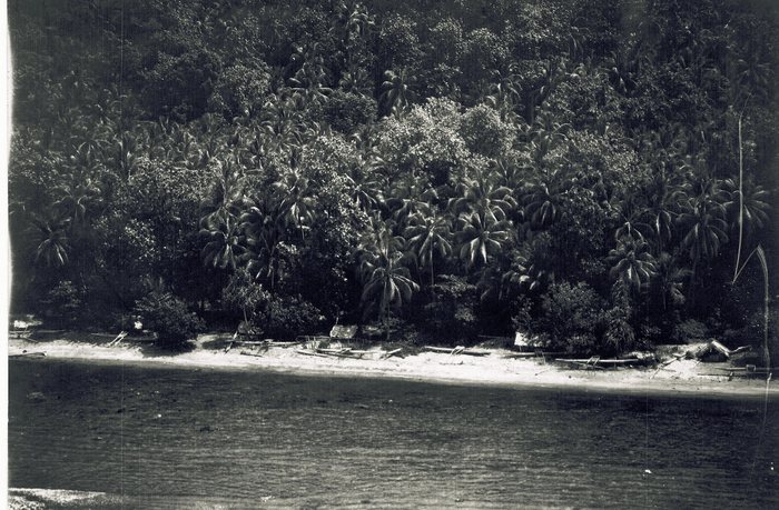 A shore photographed from out on the water: a dense wall of coconut palms and heavier trees, a narrow strip of pale sand, and drawn up along it a line of outrigger canoes, their booms showing as thin struts against the beach. Two low shelters stand back at the tree line.