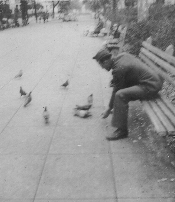 Allen feeds pigeons on a park bench while on leave.