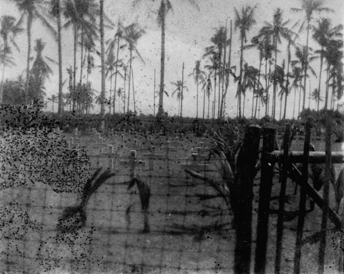 Rows of white crosses beneath the palms mark a wartime cemetery for fallen troops.