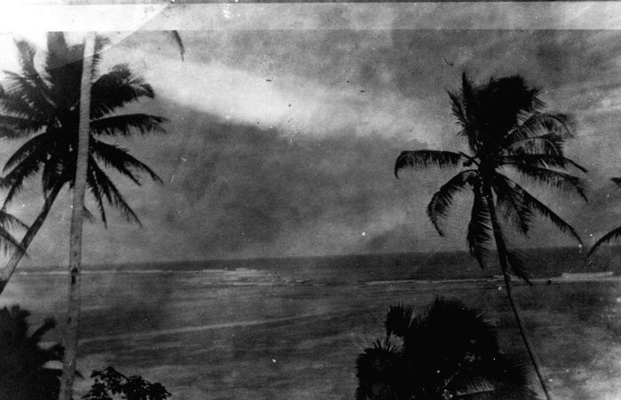 Palm trees silhouetted against a hazy New Guinea shoreline.