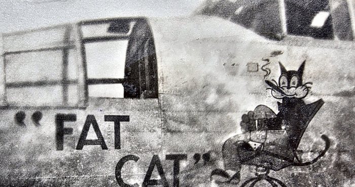 "Fat Cat," a B-25 Mitchell of the 3rd Bomb Group, on the line in New Guinea. The black cat in its deck chair with the cigarette, the parasol beneath it and the name staggered in quotation marks match, detail for detail, published photographs of Fat Cat taken at Dobodura in about September 1943.