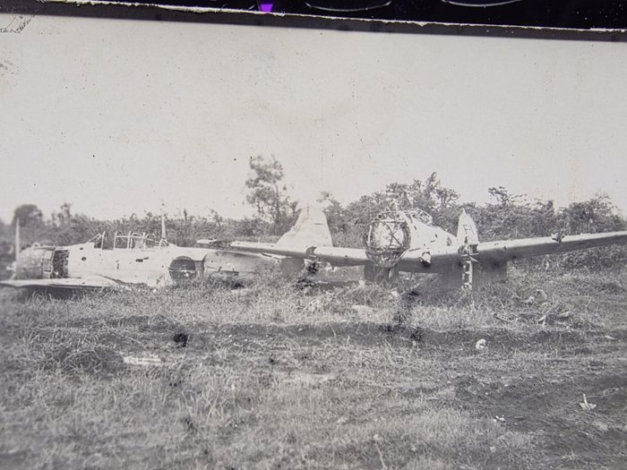 Two wrecked aircraft lying in long grass at the edge of scrub, seen from the side. Both have been stripped: cowlings removed and the engine cylinders left bare, glazing gone from the canopies with the frames still standing, and panels missing from the fuselage sides. The letters F-1 are painted on the fin of the right-hand machine.