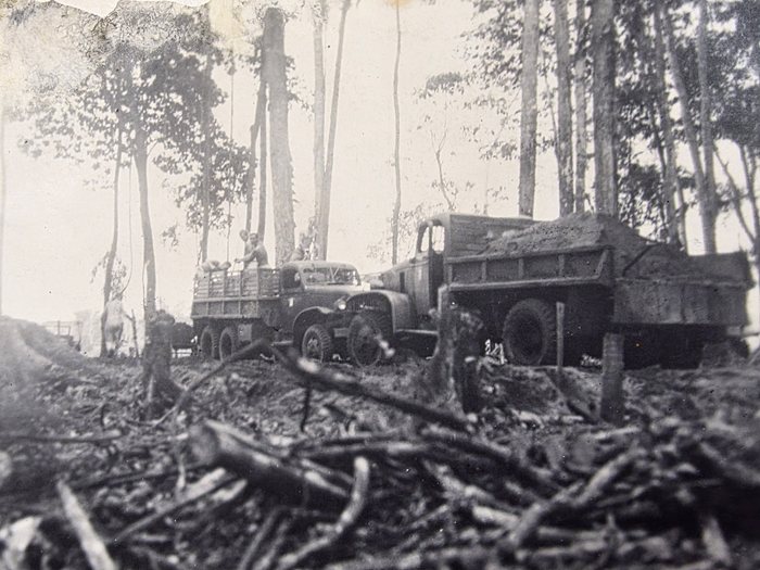 Trucks drawn up in a freshly cleared patch of tall timber, the ground torn to mud and littered with cut branches and logs. Two shirtless men work in the bed of a tandem-axle cargo truck, one paying a rope over the side rail beside a row of sacks; to the right a dump body stands heaped with earth or broken rock. Nothing in the frame fixes the place.