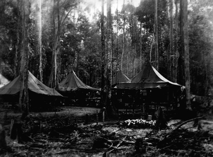 Tents pitched among tall jungle trees, campfire coals smoldering in the foreground.